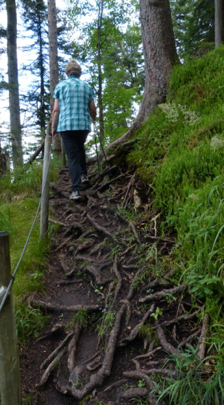 Salober Alp Rundweg