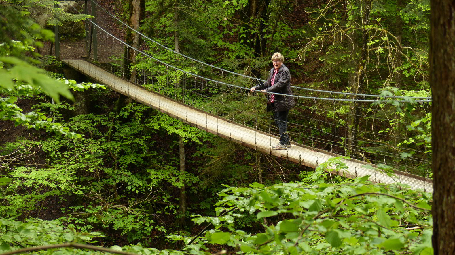 Drahtsteg - Haengebrücke Subersach