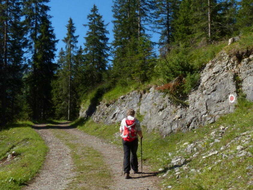 Raaz Almen - Ehenbichler Alm