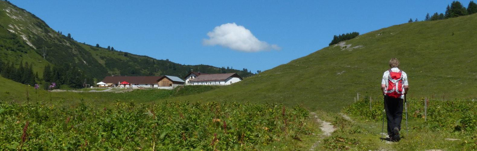 Raaz Almen - Ehenbichler Alm