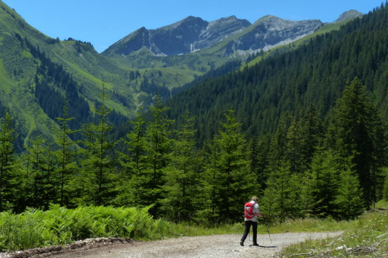 Raaz Almen - Ehenbichler Alm