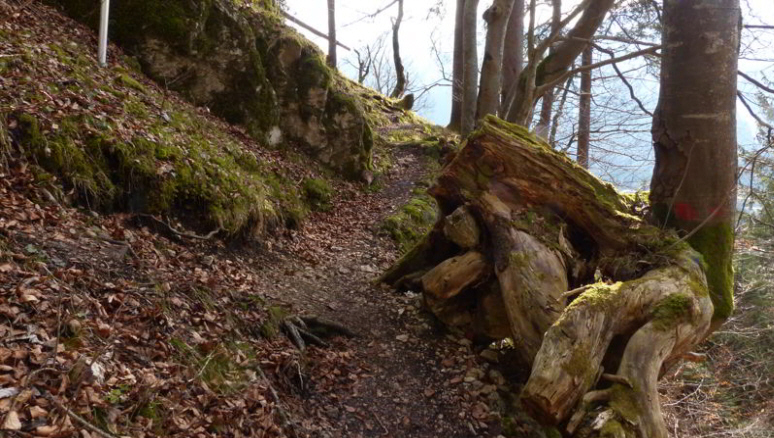 Schloss Loch Pinswang Rundwanderweg