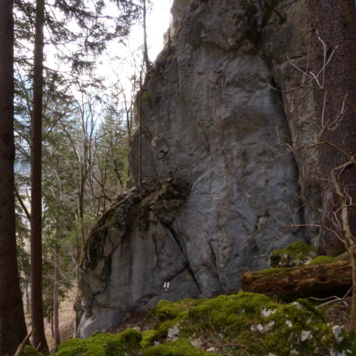 Schloss Loch Pinswang Rundwanderweg