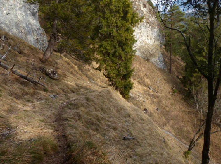 Schloss Loch Pinswang Rundwanderweg