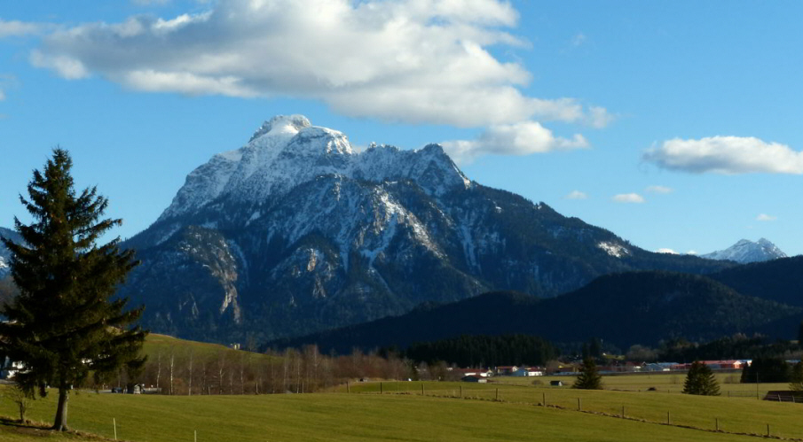 Schoene Buche Hopfen