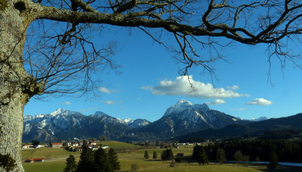 Schoene Buche Hopfen