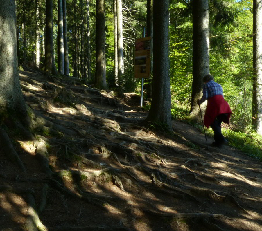 Schwarzer Grat Aussichtsturm Alpe Wenger-Egg