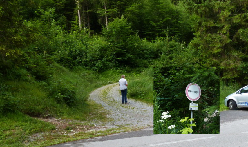 Tauern Forstweg Nord