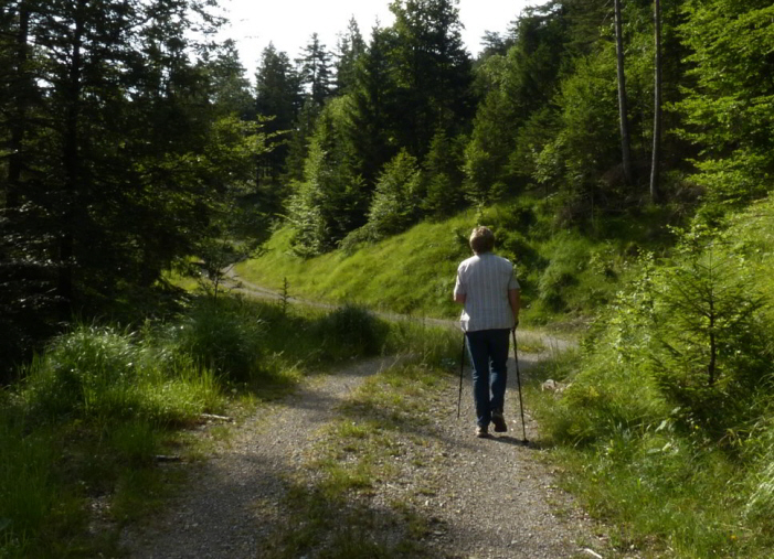 Tauern Forstweg Nord