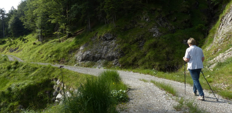 Tauern Forstweg Nord