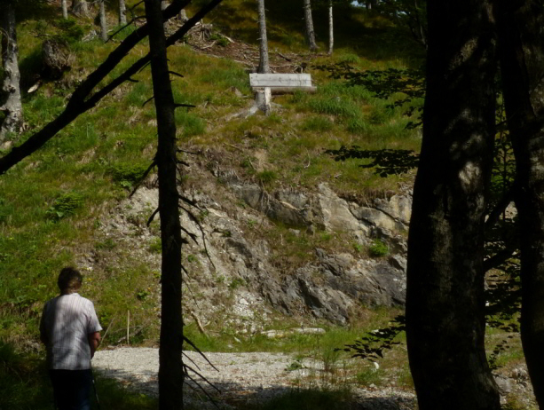 Tauern Forstweg Nord