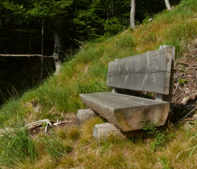 Tauern Forstweg Nord