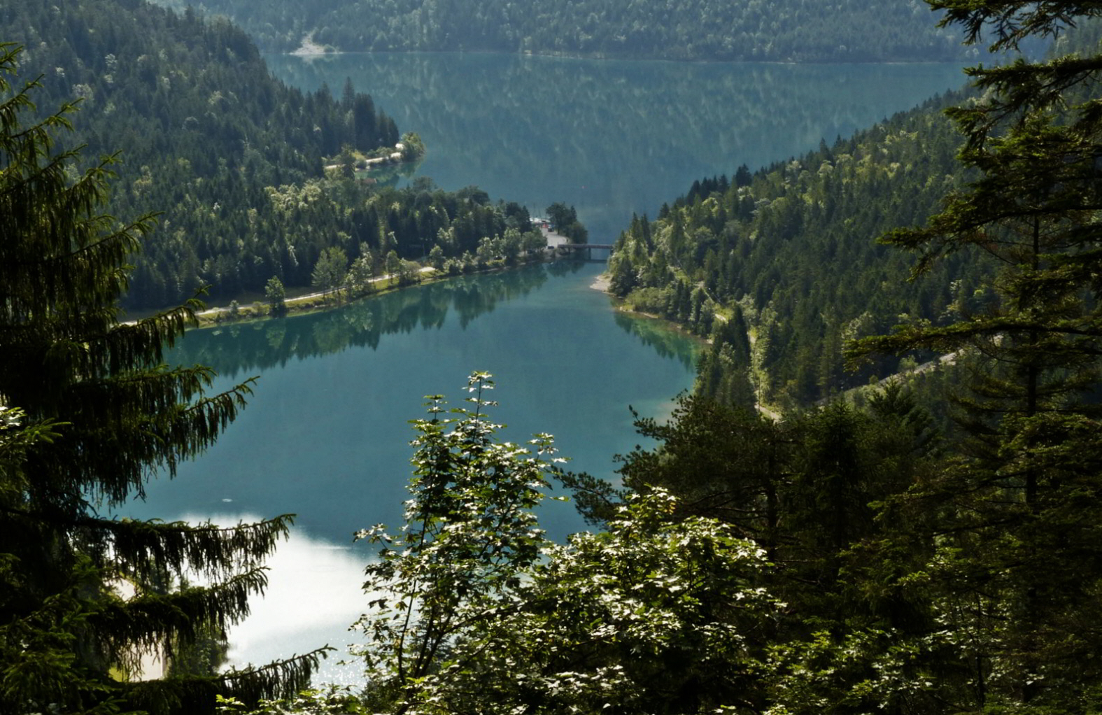 Tauern Forstweg Nord