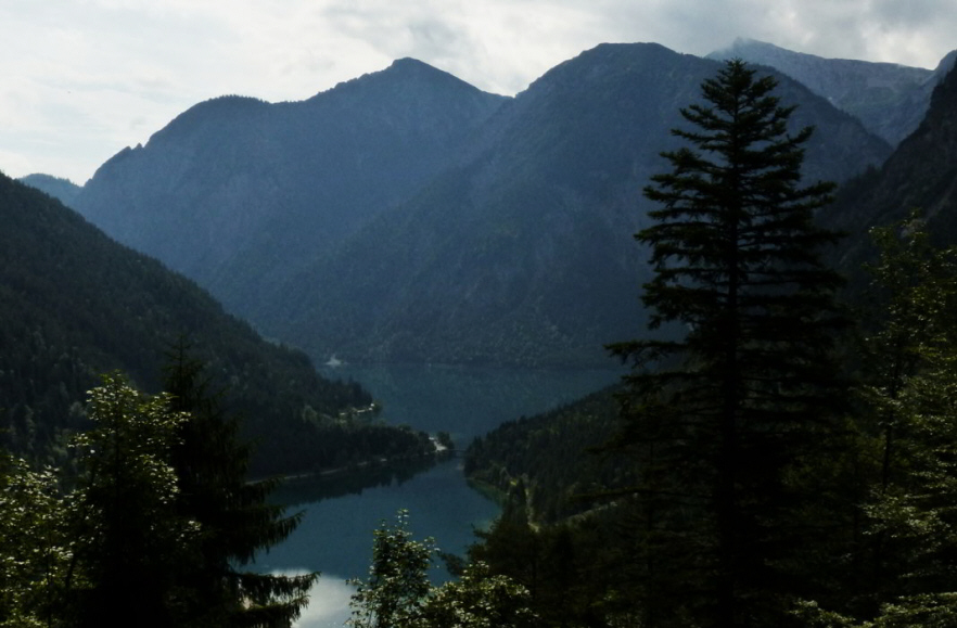 Tauern Forstweg Nord