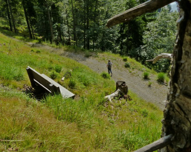 Tauern Forstweg Nord