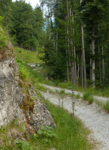 Tauern Forstweg Nord