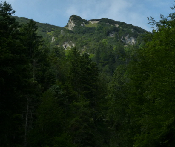 Tauern Forstweg Nord