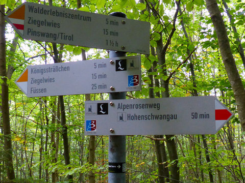 Alpsee Schwangau