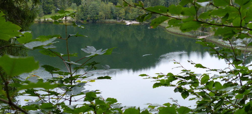 Alpsee Schwangau