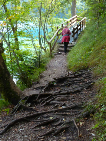 Alpsee Schwangau