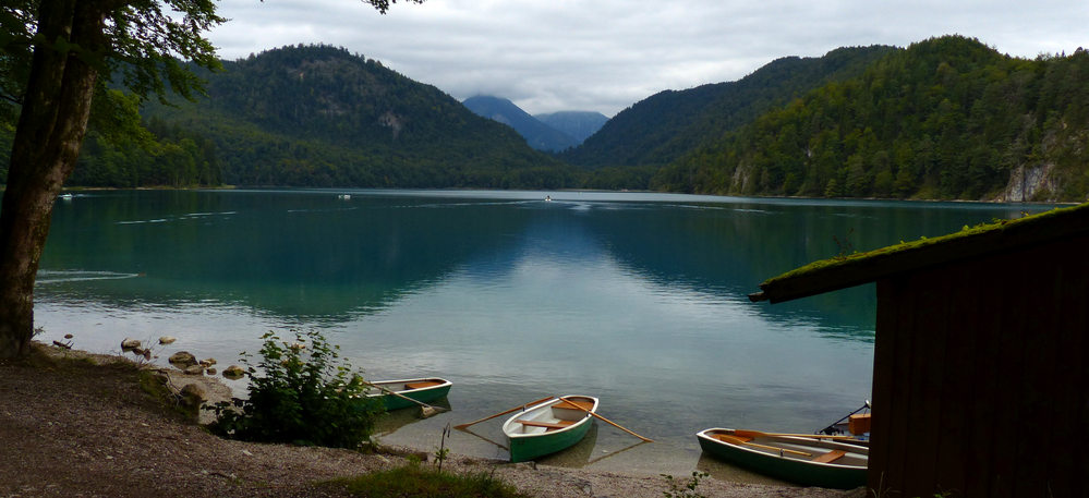 Alpsee Schwangau