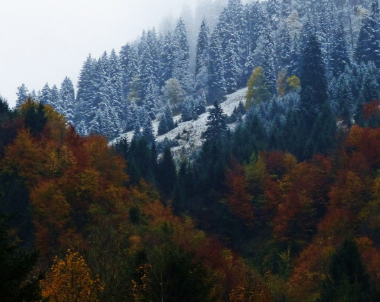 Auer Wasserfall Bichlbach