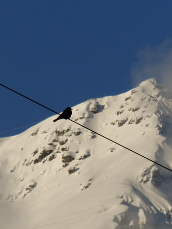 Zum Auer Wasserfall im Eis