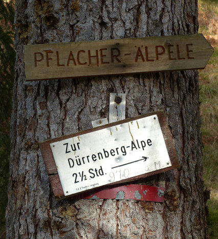 Rundwanderung Dürrenberg Alpe