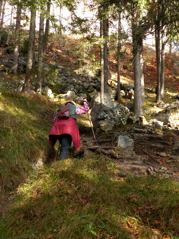 Rundwanderung Dürrenberg Alpe