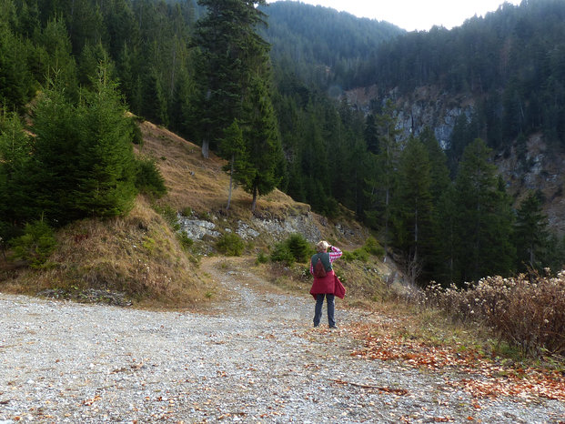 Rundwanderung Dürrenberg Alpe