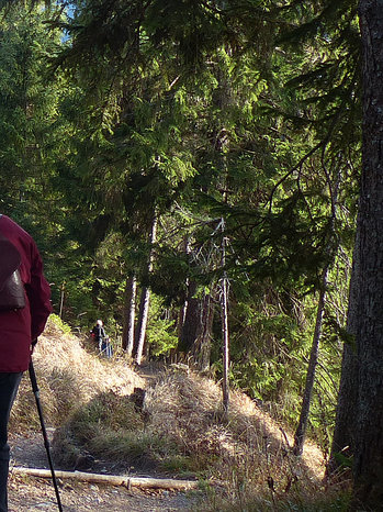 Rundwanderung Dürrenberg Alpe