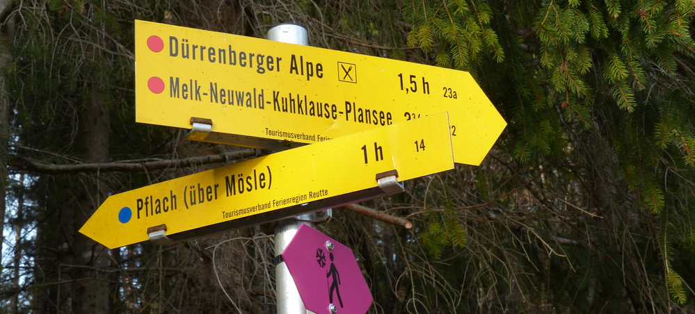 Rundwanderung Dürrenberg Alpe