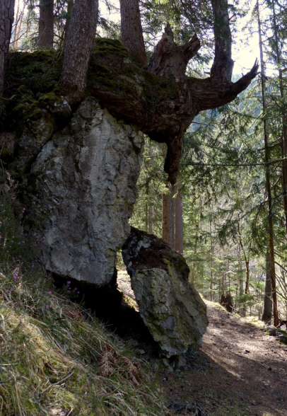 Fernsteinsee