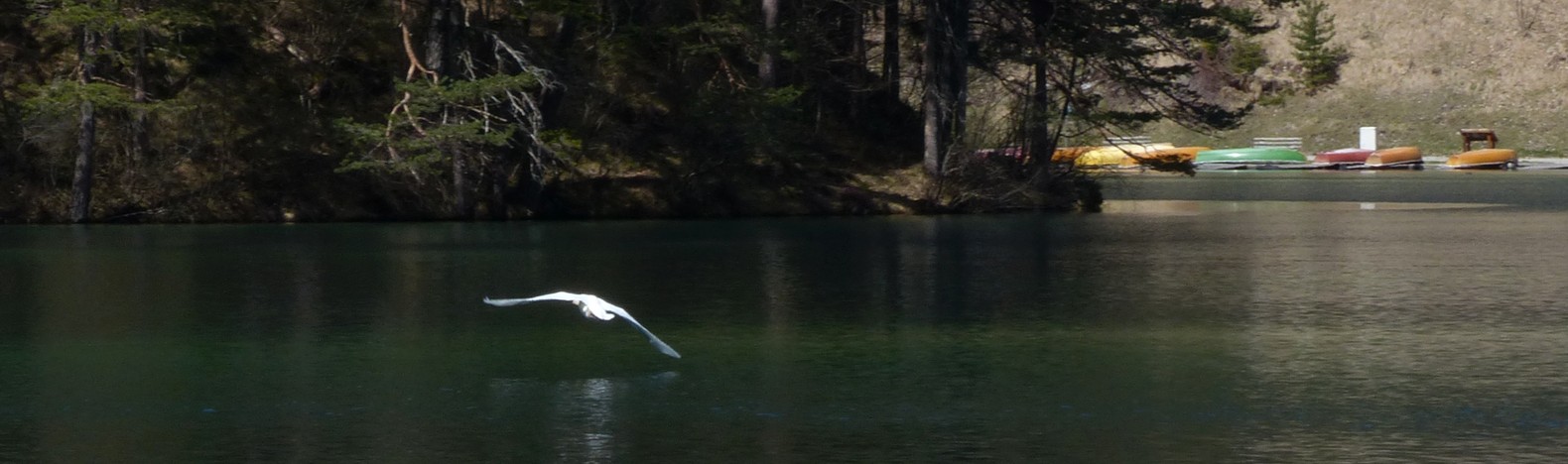 Fernsteinsee