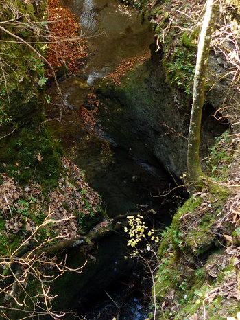 Hubertusfall Leybachtobel Hinanger Wasserfaelle