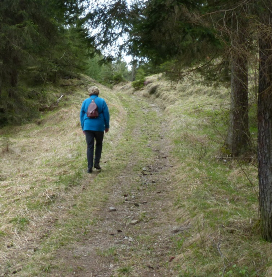 rund um den Hüttenmühlsee