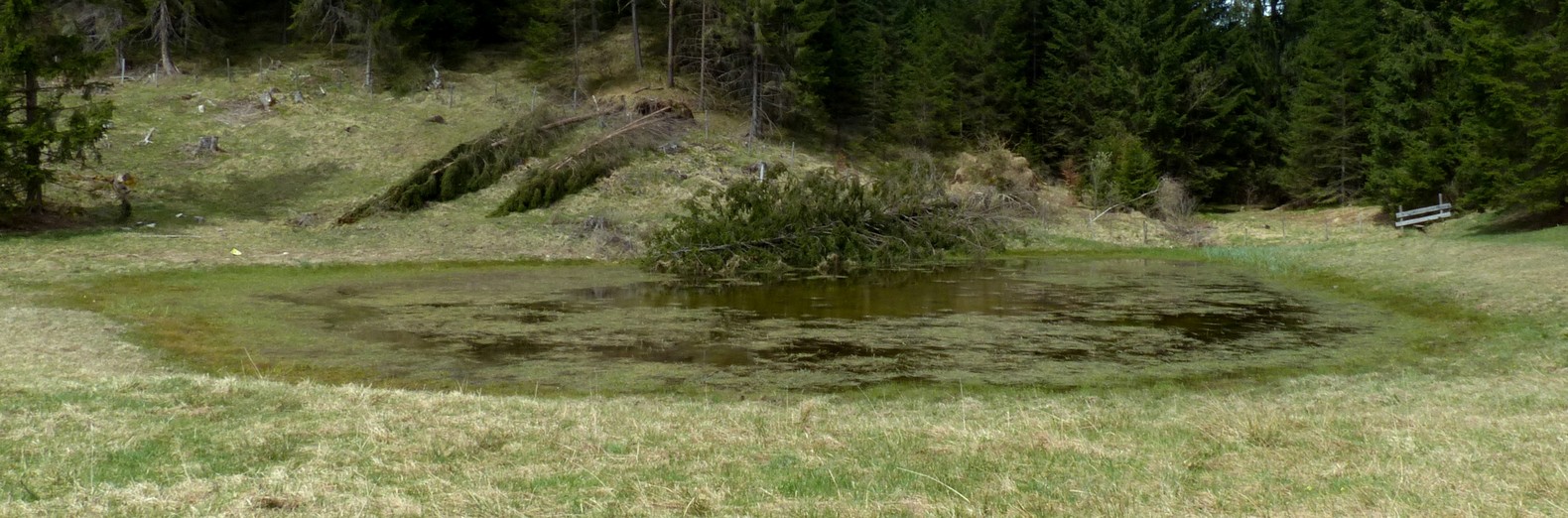 rund um den Hüttenmühlsee