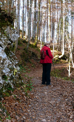 Wanderung zum Jachenauer Wasserfall