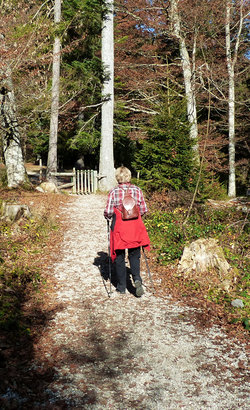 Wanderung zum Jachenauer Wasserfall