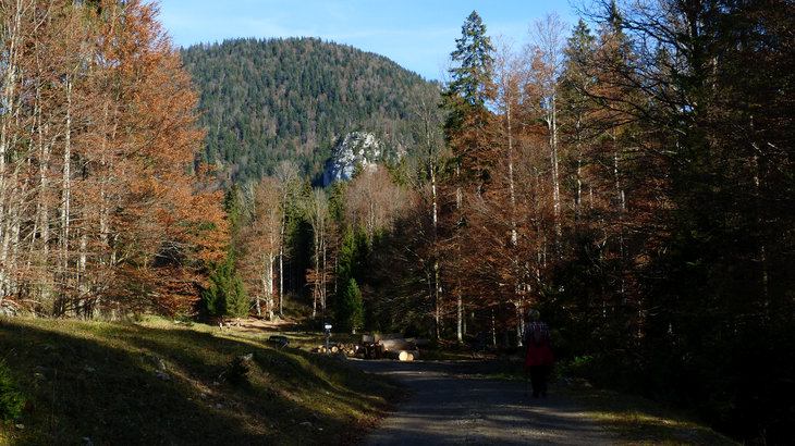 Wanderung zum Jachenauer Wasserfall