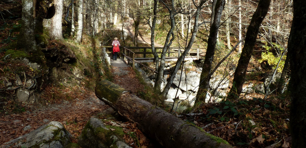 Wanderung zum Jachenauer Wasserfall