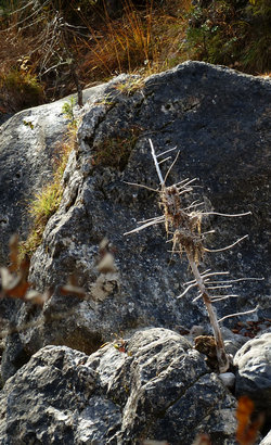 Wanderung zum Jachenauer Wasserfall