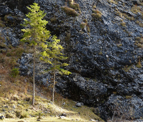 Wanderung zum Jachenauer Wasserfall