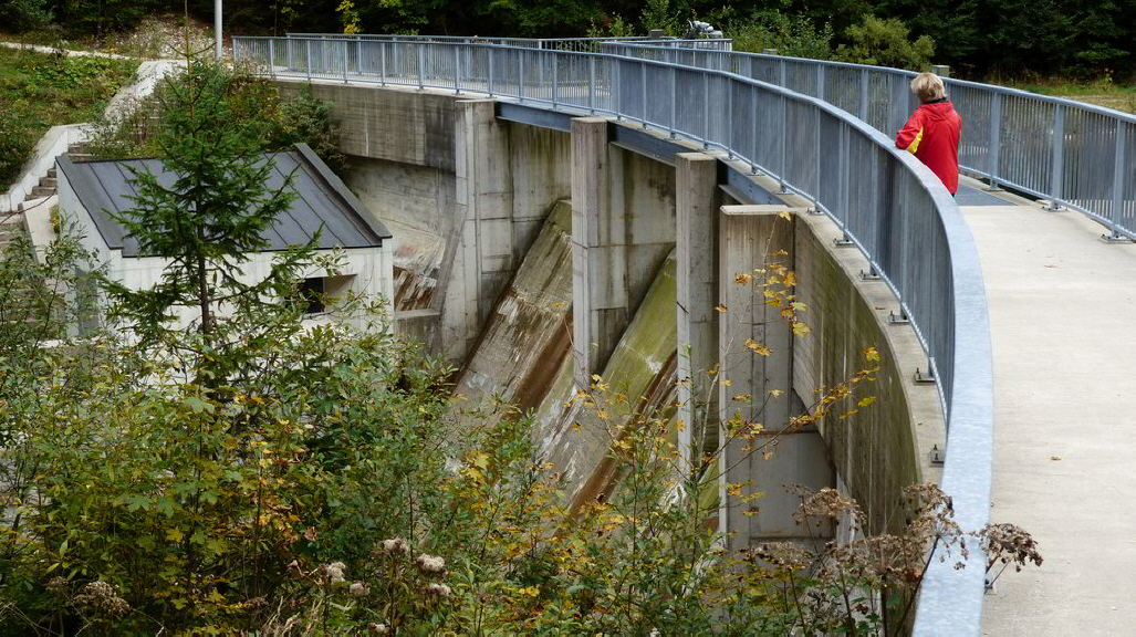 Staumauer Bockstallsee