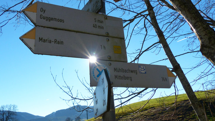 Muehlbachweg Oy