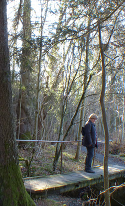 Muehlbachweg Oy