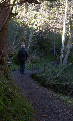 Muehlbachweg Oy