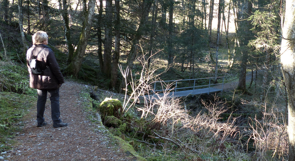 Muehlbachweg Oy