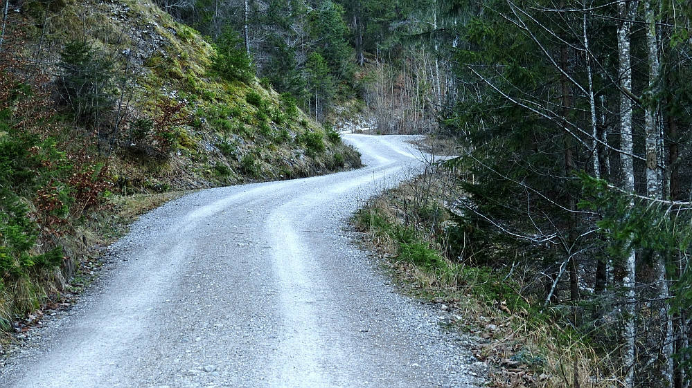 Weg zum Musauer Berg