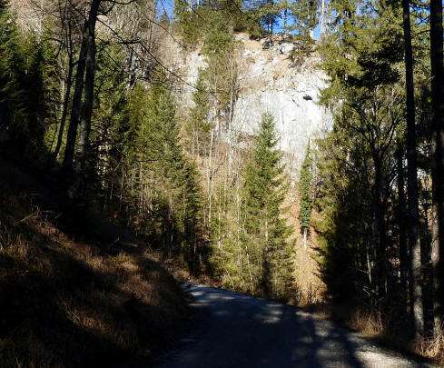 Weg zum Musauer Berg